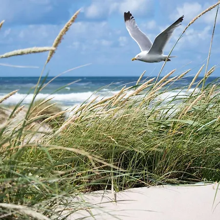 Seafront Near Casino Apartment Knokke-Heist